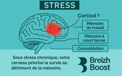 mémoire d un escargot